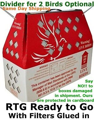 Live Bird Shipping Boxes 10pcs Horizon Chickens Poultry - Usps Approved Bird Box
